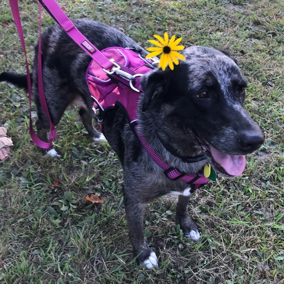 Meet your Posher, Jessica - Picture 6 of 8